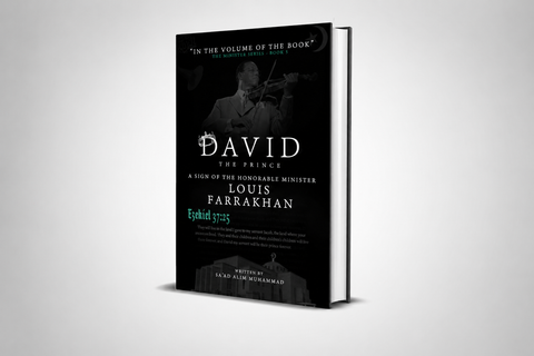 David The Prince: A Sign of the Honorable Minister Louis Farrakhan